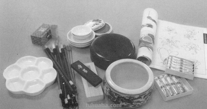 工笔虎的基本画法及临摹线描手稿