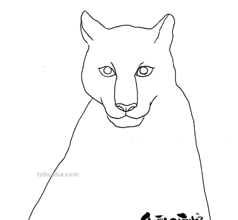 绘画教程丨少儿美术《雪豹》 绘画教程丨少儿美术《雪豹》