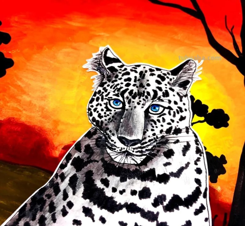 绘画教程丨少儿美术《雪豹》 绘画教程丨少儿美术《雪豹》