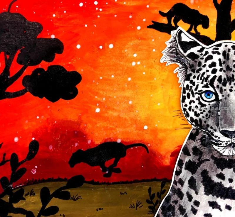 绘画教程丨少儿美术《雪豹》 绘画教程丨少儿美术《雪豹》