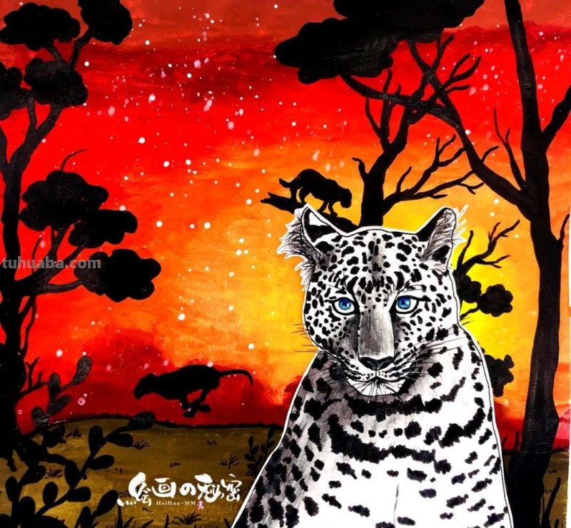 绘画教程丨少儿美术《雪豹》 绘画教程丨少儿美术《雪豹》