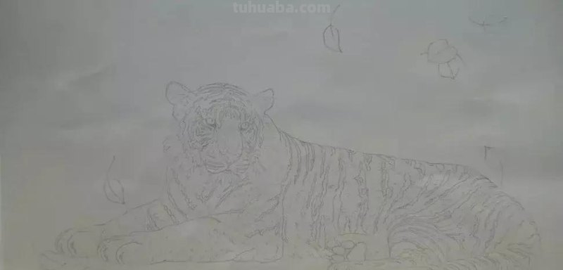 工笔虎《秋思》示范步骤