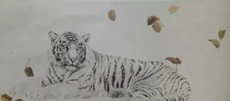 工笔虎《秋思》示范步骤