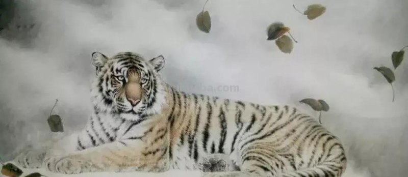 工笔虎《秋思》示范步骤