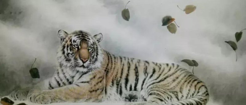 工笔虎《秋思》示范步骤