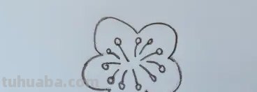腊梅怎么用彩铅画(腊梅怎么用彩铅画好看) 腊梅怎么用彩铅画(腊梅怎么用彩铅画好看)