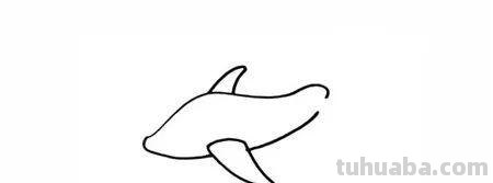 各种各样的飞机简笔画画法大全 各种各样的飞机简笔画画法大全