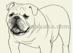 简笔画大全-为了补偿之前小编没有更新，动物简笔画大全