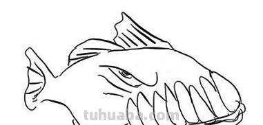 简笔画大全-为了补偿之前小编没有更新，动物简笔画大全