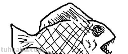 简笔画大全-为了补偿之前小编没有更新，动物简笔画大全