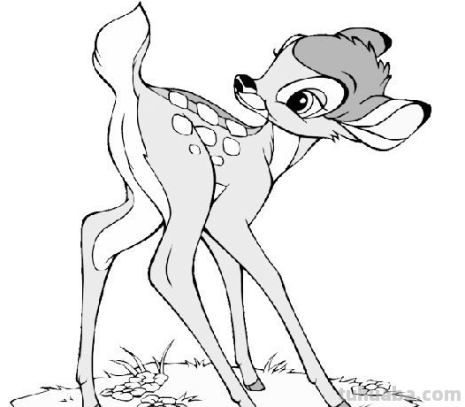 简笔画大全-为了补偿之前小编没有更新，动物简笔画大全