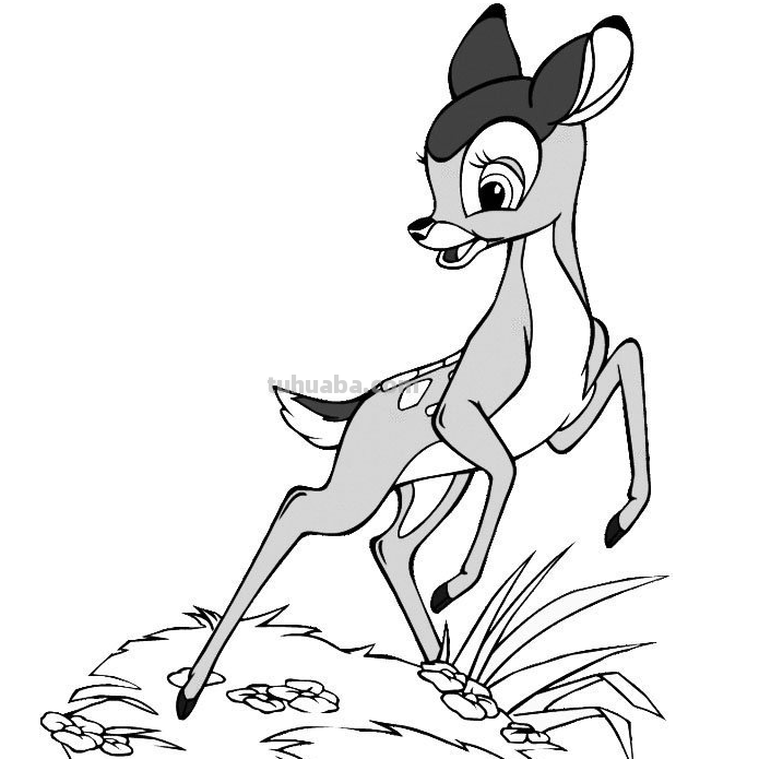 简笔画大全-为了补偿之前小编没有更新，动物简笔画大全