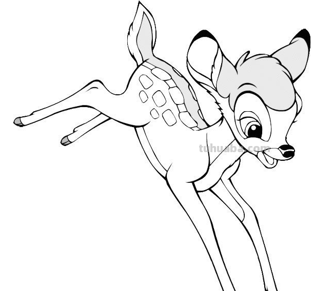 简笔画大全-为了补偿之前小编没有更新，动物简笔画大全