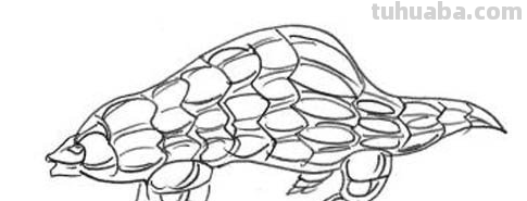 简笔画大全-为了补偿之前小编没有更新，动物简笔画大全