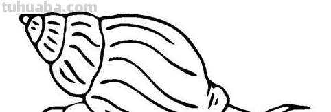 简笔画大全-为了补偿之前小编没有更新，动物简笔画大全