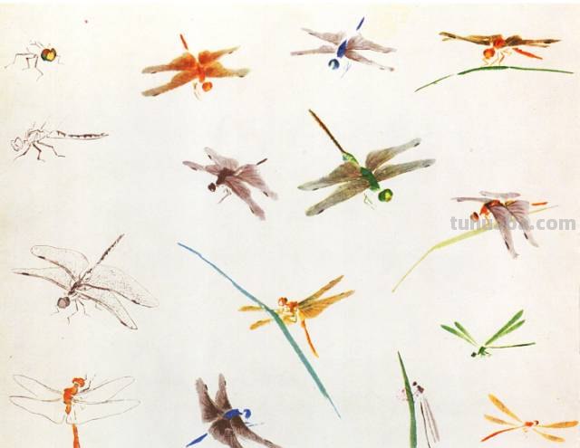 王雪涛 小写意昆虫画法图例