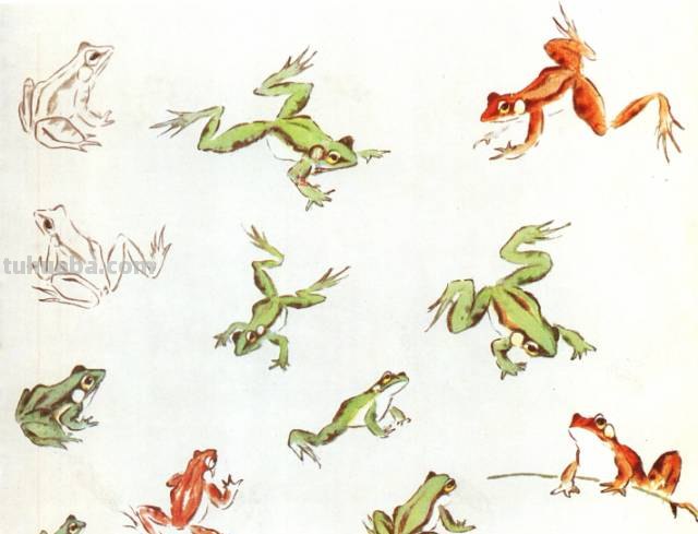 王雪涛 小写意昆虫画法图例