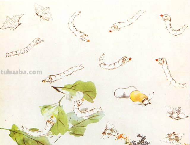 王雪涛 小写意昆虫画法图例