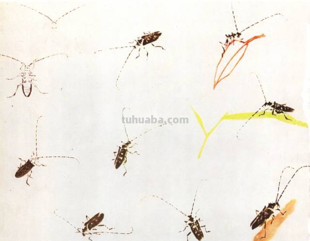 王雪涛 小写意昆虫画法图例