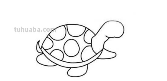 「动物篇」爬起来慢吞吞的小乌龟简笔画来了
