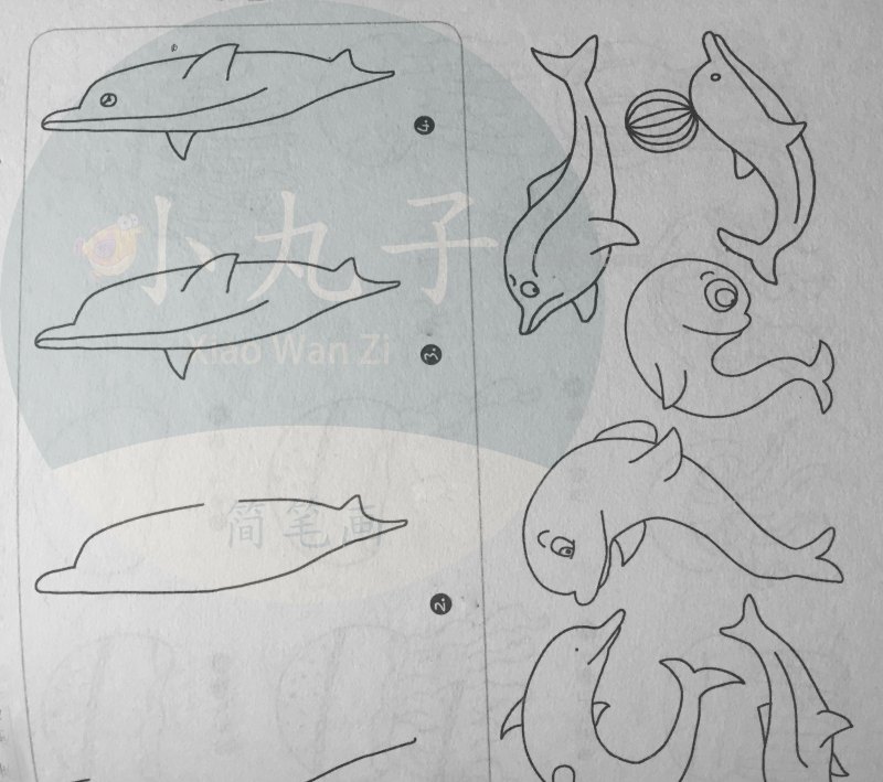 500个水族简笔画画法，快来下载打印出来给宝宝们涂颜色！