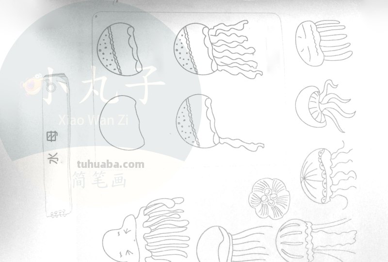 500个水族简笔画画法，快来下载打印出来给宝宝们涂颜色！