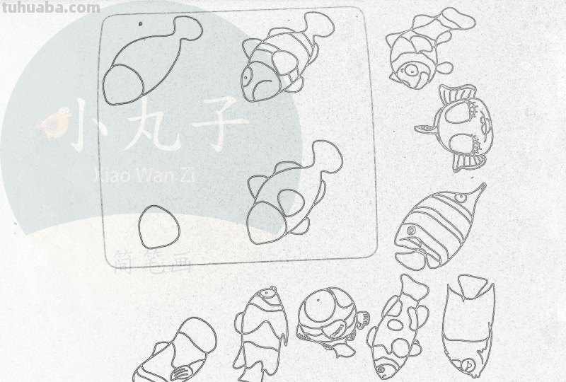 500个水族简笔画画法，快来下载打印出来给宝宝们涂颜色！