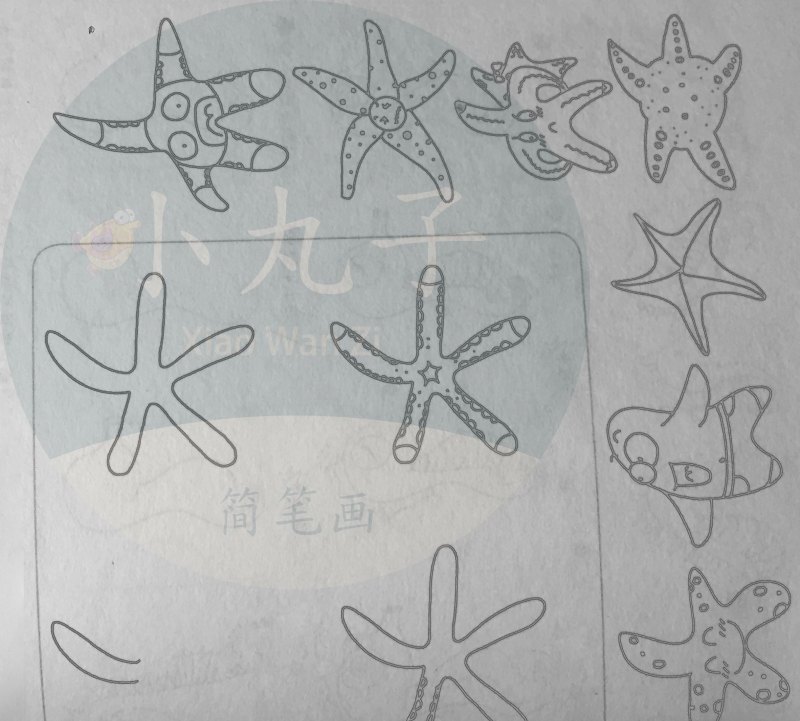 500个水族简笔画画法，快来下载打印出来给宝宝们涂颜色！