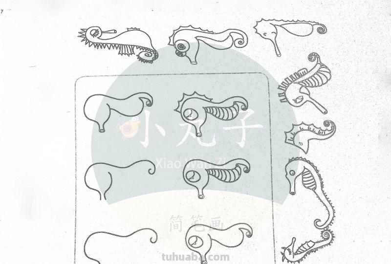 500个水族简笔画画法，快来下载打印出来给宝宝们涂颜色！