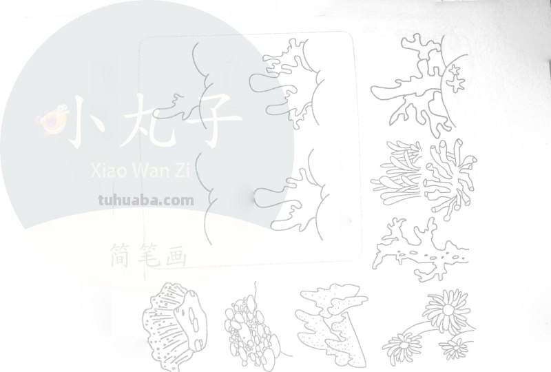 500个水族简笔画画法，快来下载打印出来给宝宝们涂颜色！