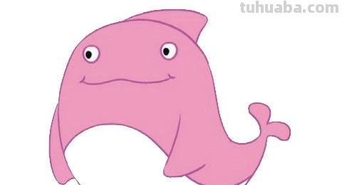 每天学一幅简笔画-卡通海豚简笔画的画法图片大全