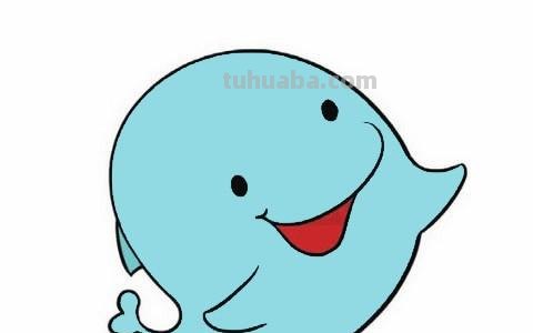 每天学一幅简笔画-卡通海豚简笔画的画法图片大全