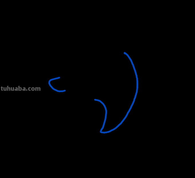 海豚简笔画分步图解及视频教程，轻松变身绘画达人