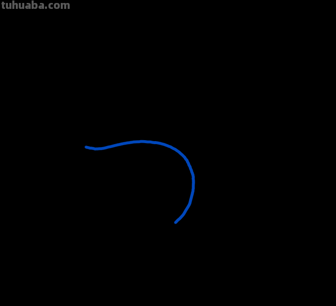 海豚简笔画分步图解及视频教程，轻松变身绘画达人