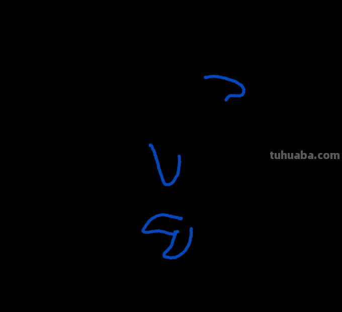 海豚简笔画分步图解及视频教程，轻松变身绘画达人