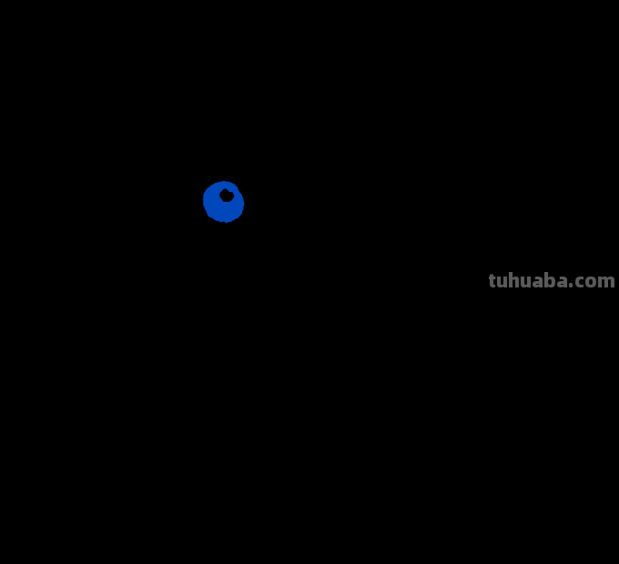 海豚简笔画分步图解及视频教程，轻松变身绘画达人