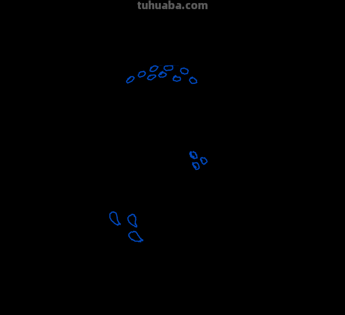 海豚简笔画分步图解及视频教程，轻松变身绘画达人