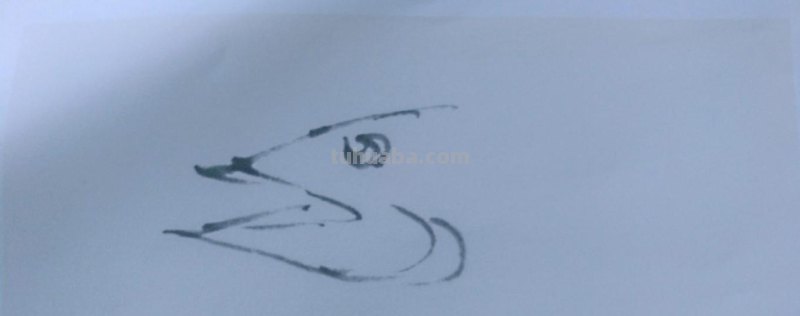 国画技法5:鳜鱼的画法 国画技法5:鳜鱼的画法