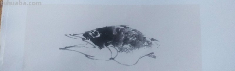 国画技法5:鳜鱼的画法 国画技法5:鳜鱼的画法