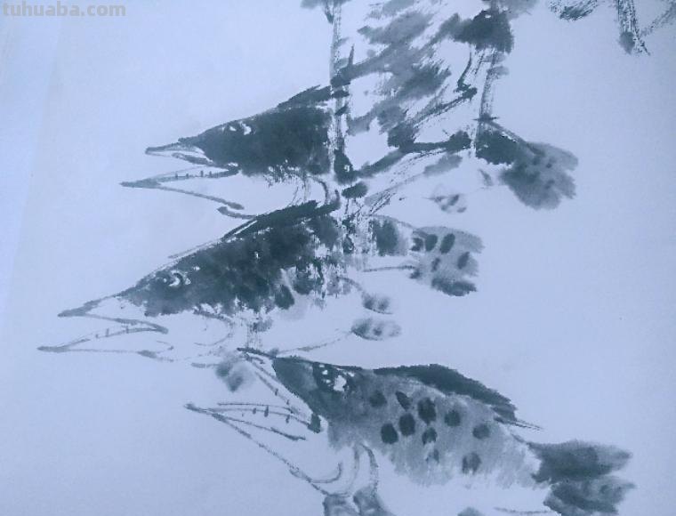 国画技法5:鳜鱼的画法 国画技法5:鳜鱼的画法