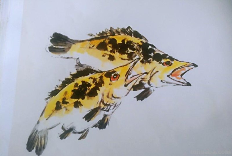 国画技法5:鳜鱼的画法 国画技法5:鳜鱼的画法