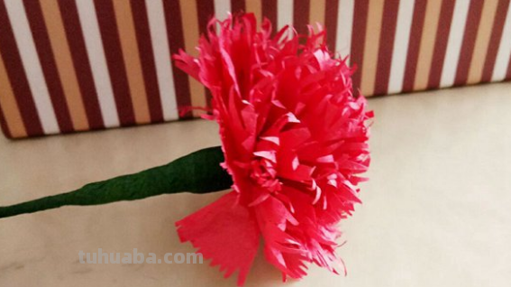褶皱纸康乃馨教程