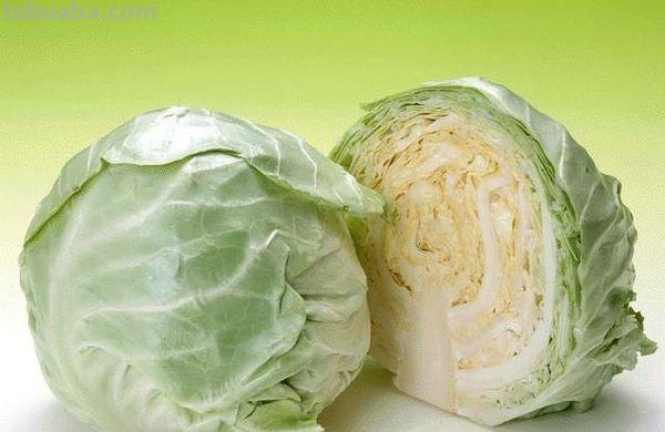 速写卷心菜（卷心菜素描）