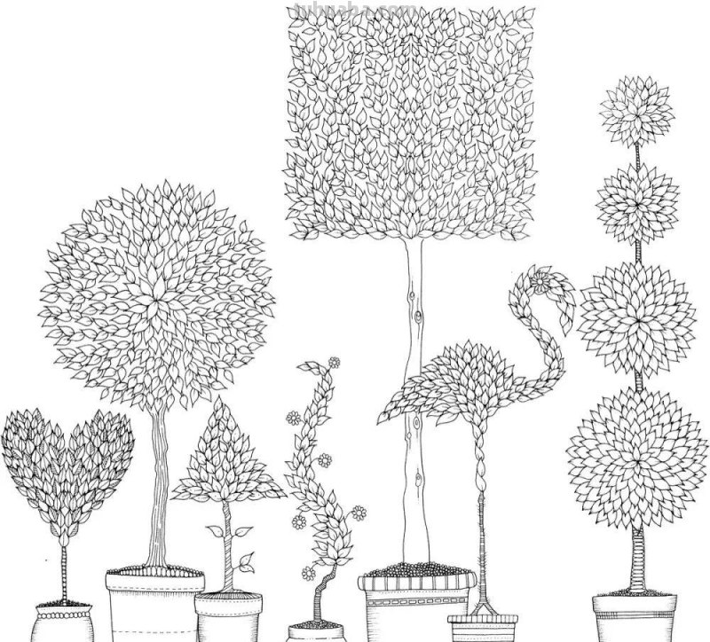 每天学一幅简笔画-风景、建筑类简笔画