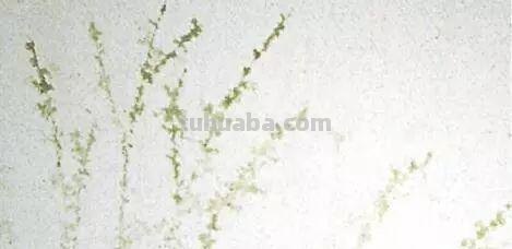 为什么照着教程还是画不好？那些水彩技法，你真的学会了吗？