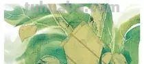 为什么照着教程还是画不好？那些水彩技法，你真的学会了吗？