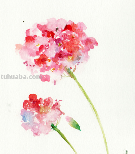 学习水彩绘画要先准备好这些工具 学习水彩绘画要先准备好这些工具