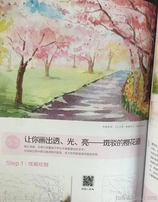 零基础学水彩-你不能错过的入门水彩书籍