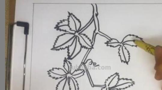 爬山虎怎么画的简笔画(爬山虎怎么画的简笔画图片) 爬山虎怎么画的简笔画(爬山虎怎么画的简笔画图片)