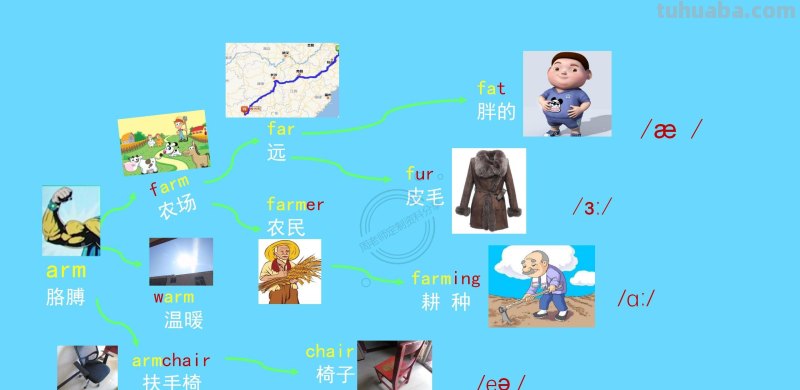 我提炼小学思维导图800词66幅导图，3天刻入大脑，再笨都记得住